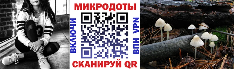 как найти закладки  Курчалой  Псилоцибиновые грибы мухоморы 